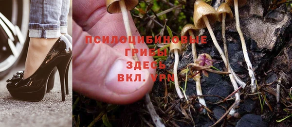 тгк Медногорск