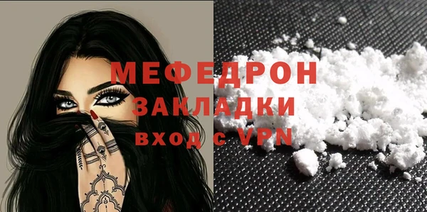индика Богданович