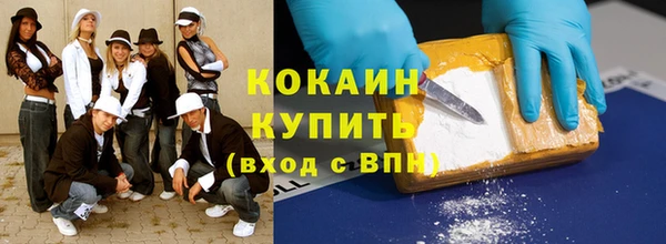 тгк Медногорск