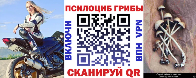 Псилоцибиновые грибы ЛСД  как найти   Михайловск 