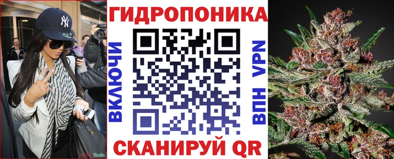 Бошки Шишки Amnesia  где можно купить наркотик  Михайловск 